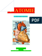 Médecine Anatomie à sa plus simple expression-Anamnese-Termes médicaux-Cours 6