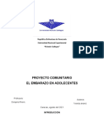 PROYECTO COMUNITARIO Embarazo