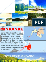 HIS003 LECTURE 2 Geographical Setting of Mindanao 