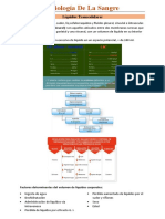 02 Fisiologia de La Sangre