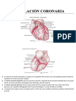 14 Circulación Coronaria