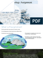 Ecology Assignment: Precipitation Types (Rain, Fog, Snow, Hail, Dew)