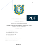 Segundo Trabajo de Proceso de Congelacion y Deshielo