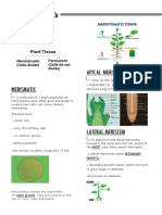 Plant Cell Growth and Meristematic Tissue