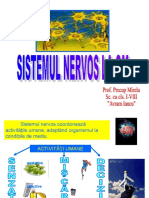 Sistem Nervo s