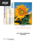 Download Summary of Strategic Management by Fara Laynds Lamborghini SN53448067 doc pdf