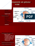 Mediile Transparente Ale Globului