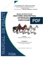 02. Manual de prácticas de anatomía descriptiva veterinaria y disecciones autor Gerardo Olmedo Perez