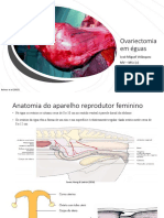 Ovariectomia EM ÉGUAS