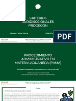 Criterios jurisdiccionales PRODECON - PAMELA CASTRO