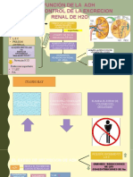 Exposicion de Fisiologia Renal Nueva