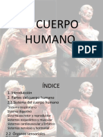 El Cuerpo Humano16-3-15