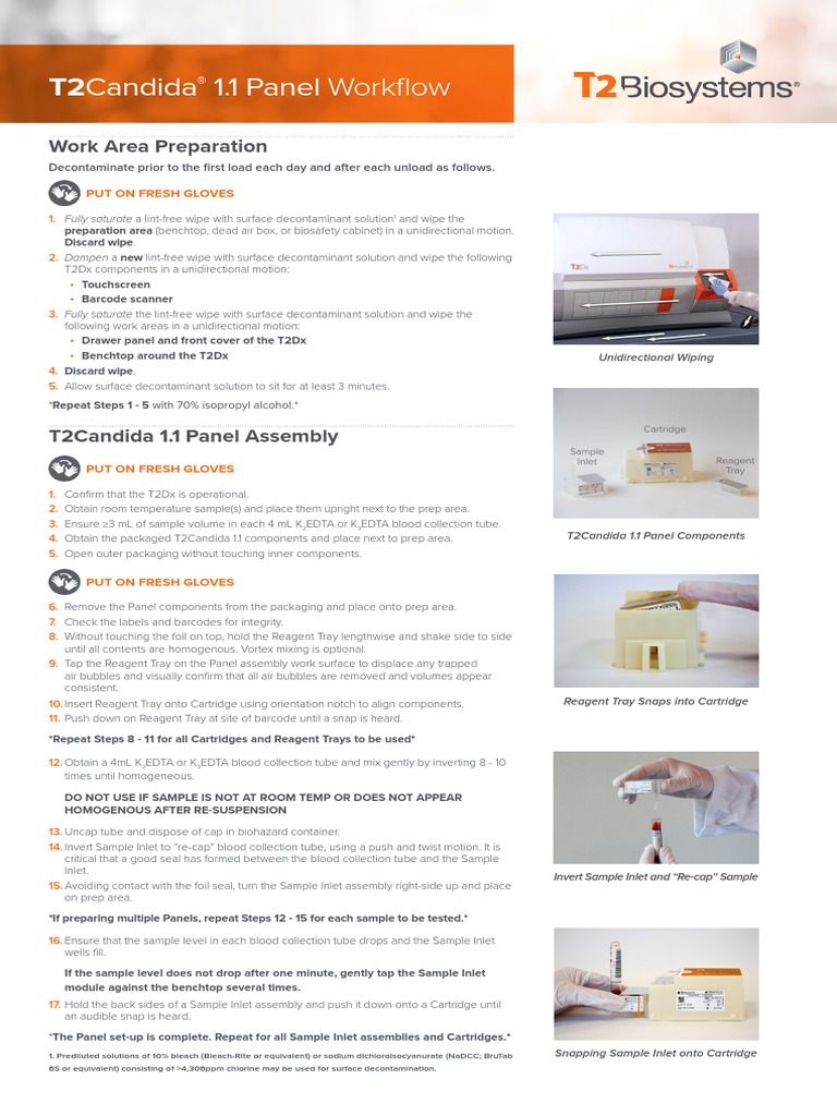 DES-00543T2Candida 1.1 Workflow Guide CE-IVD | PDF