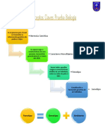 Conceptos Claves  Prueba Biolgía 3
