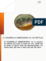 Desarrollo Embrionario de Los Reptiles J J E J Y J 12