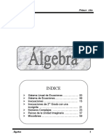 Algebra 1er Año