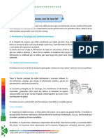 21. Sistema Nervioso (2)