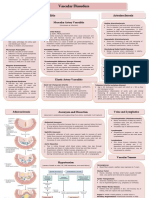 Vascular Disorders - Summary Chart