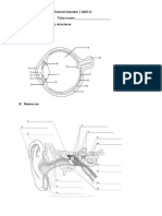 Anatomy and Physiology Senses Tutorial Semester 1 2020-21 Name - Tutors Name - 1. Label The Following Sensory Structures. A. Human Eye