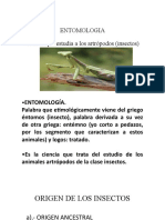 Material de Clases Entomologia