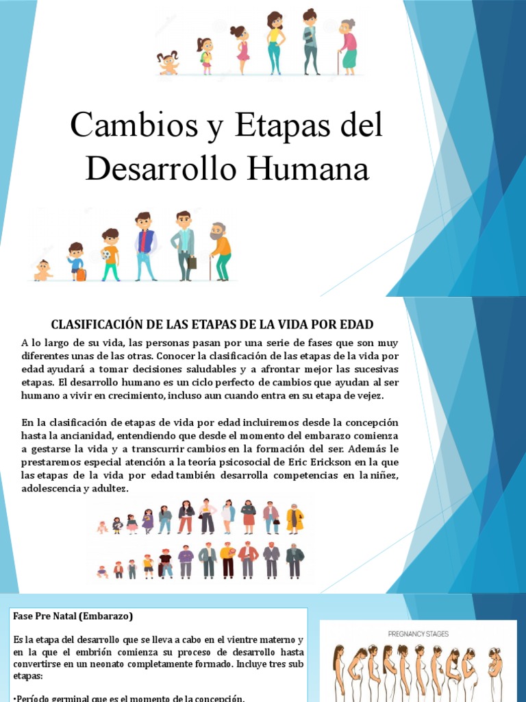 Cambios y Etapas Del Desarrollo Humano | PDF | Adultos | Adolescencia