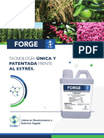 Folleto FORGE