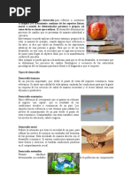 Partes de La Escuela | PDF