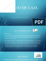 FLUJO DE CAJA (1)