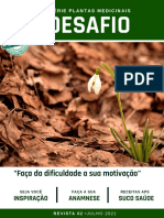 REVISTA 02 Julho-Compactado