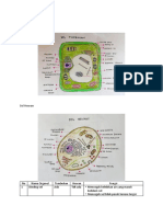 Biokimia Sel Hewan Tumbuhan