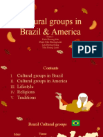 Cultural Groups in Brazil & America