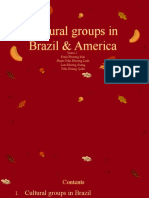 Cultural Groups in Brazil & America