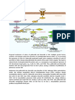 CDK Inhibitor