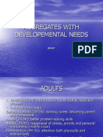 Aggregates With Developemental Needs: Adult