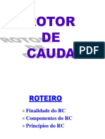 07 Rotor Cauda