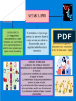 MAPA CONCEPTUAL metabolismo 