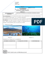 guía  de ciencias 4° investigacion. 2pdf