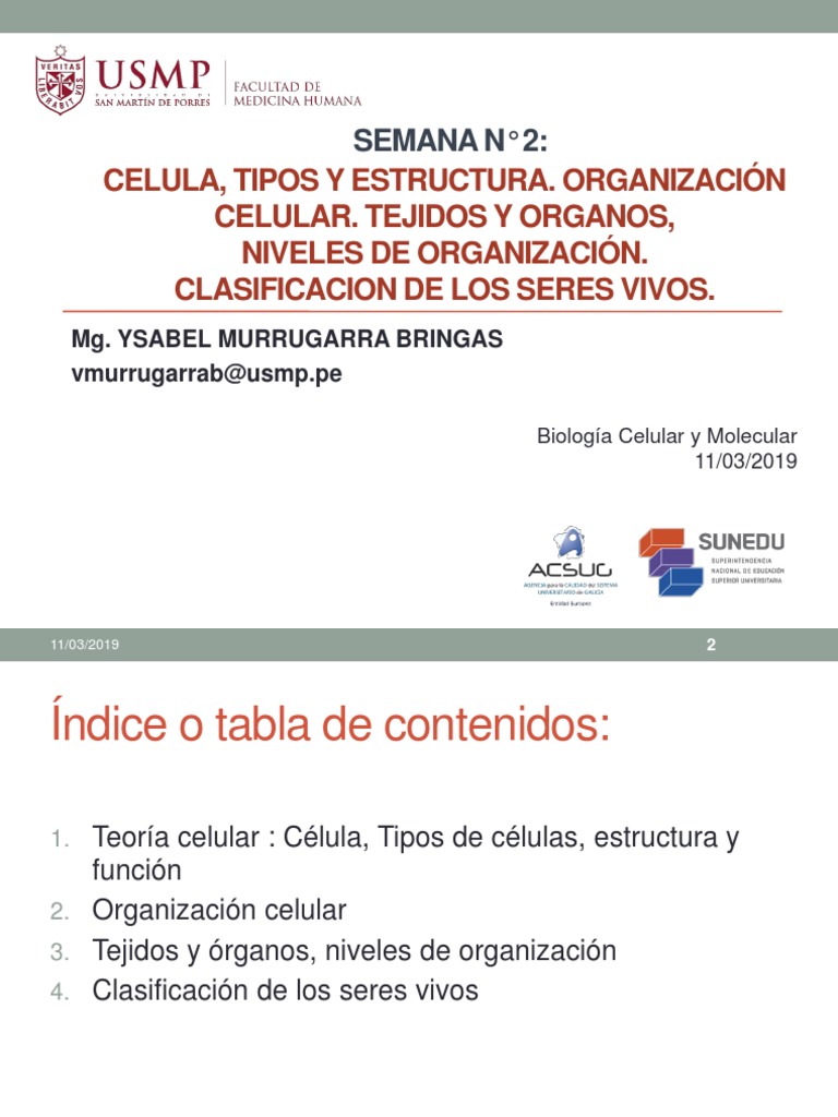 Tipos y Estructura Celular en Biología | PDF | Citoplasma | Biología ...