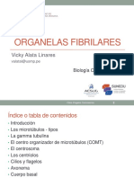 Semana 5 Organelas Fibrilares 2019 I