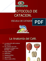 Protocolo de Catacion y Defectos 03