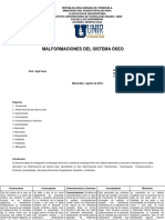 ActividadII-UnidadIV Morfologia