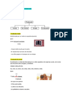 Tipos de Predicado