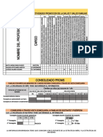 Formato Consolidado Promsa