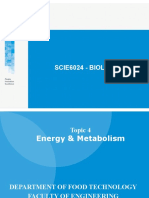 Energy - Metabolism