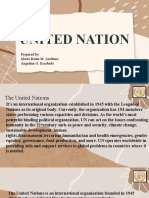 UN Organization Explained