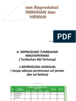 4.a.sistem Perkembangan Tumbuhan