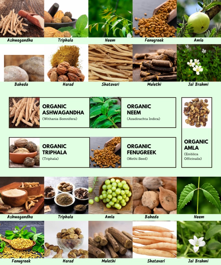 Ashwagandha Triphala Neem Fenugreek Amla PDF