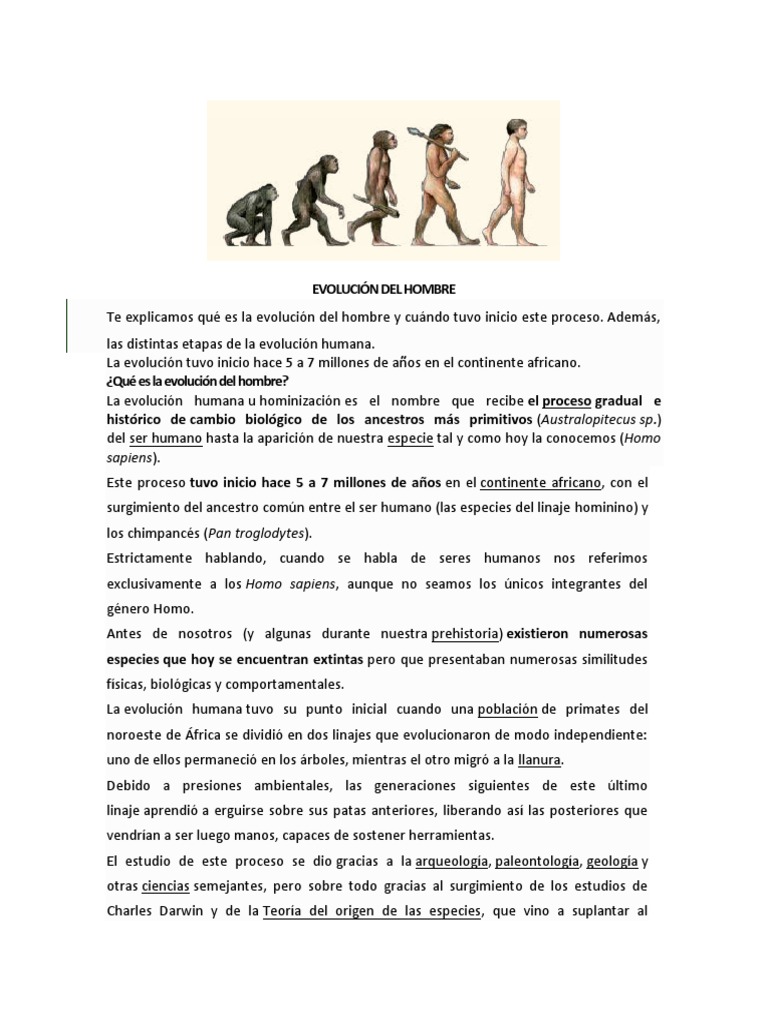 Evolucion Del Hombre 4to de Sec. | PDF | Homo | Evolución humana