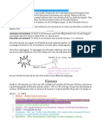 Nervsystemet Biologi