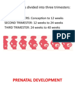 PREGNANCY Is Divided Into Three Trimesters